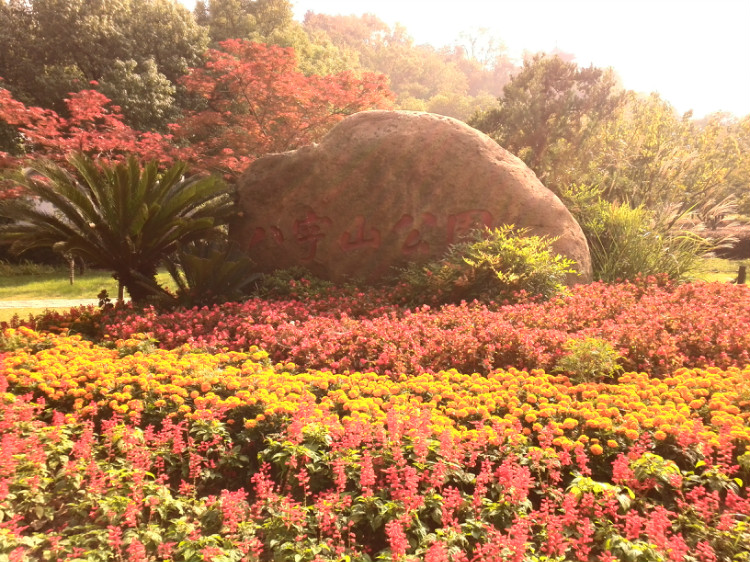  p>八字山位于 a href="#" data-lemmaid="2207627">南京市 /a>鼓楼区