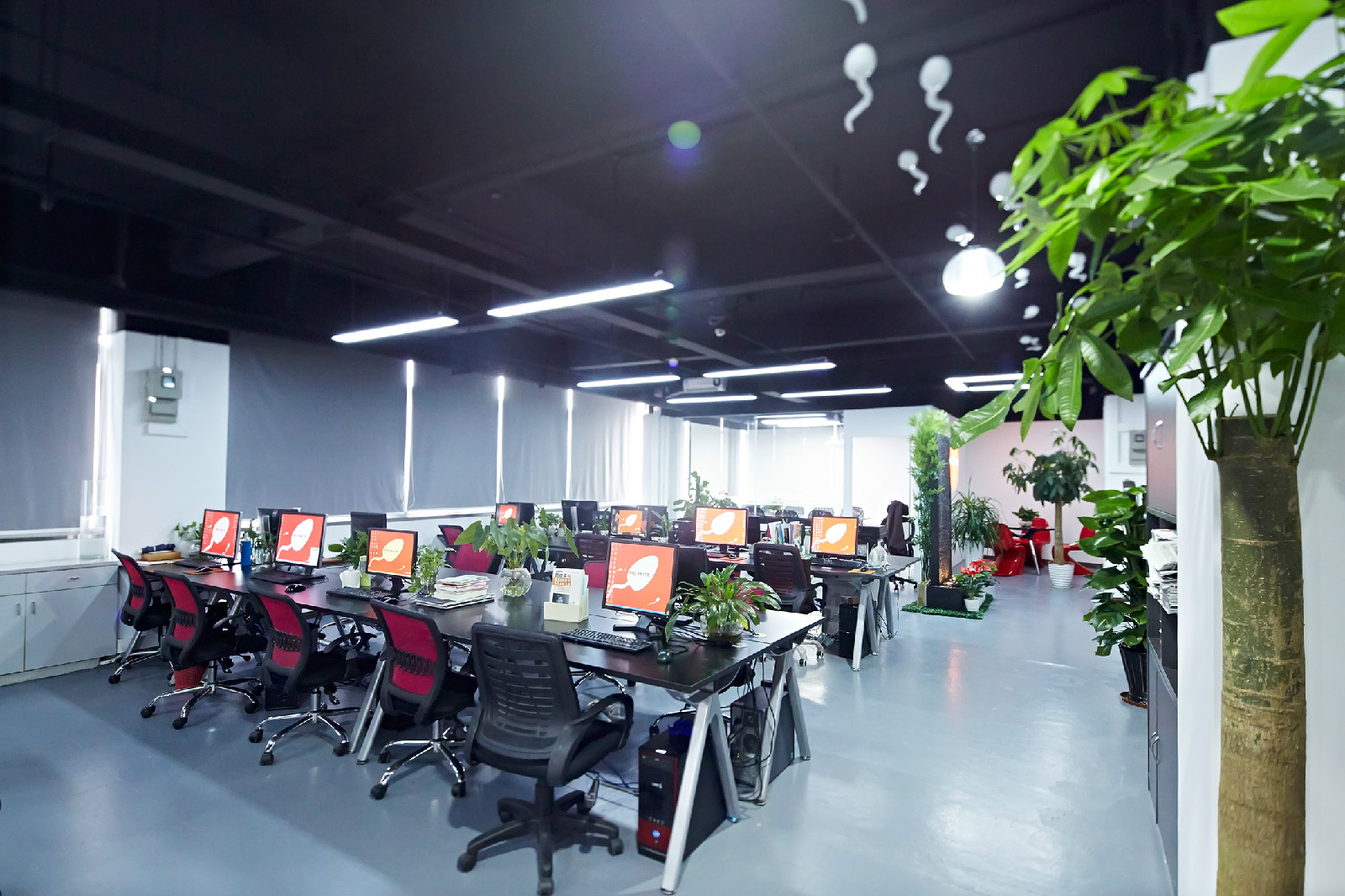 深圳市之所以广告有限公司