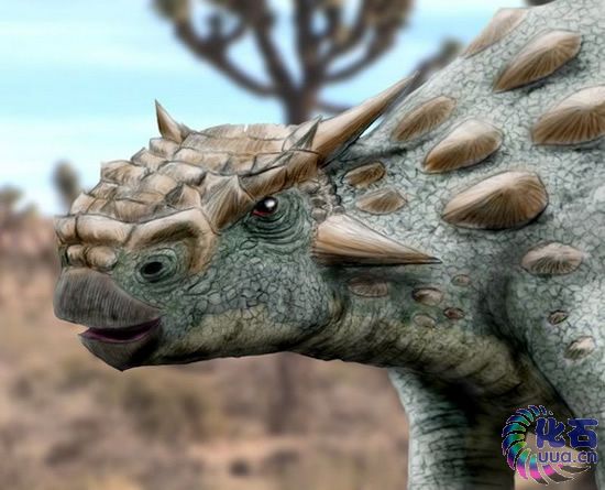 p>胄甲龙(panoplosaurus)是属于 a href="#" data-lemmaid="7284648"