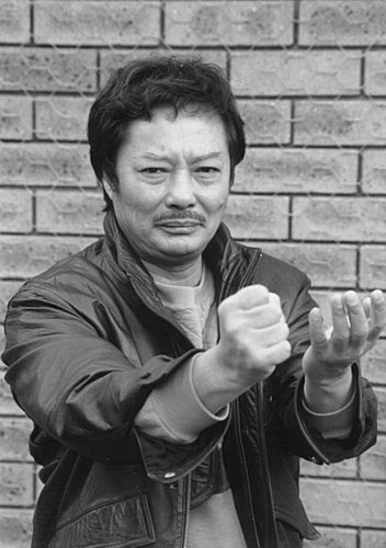  p>黄淳梁 (1935年一1996年), a target="_blank" href="/item/咏春拳