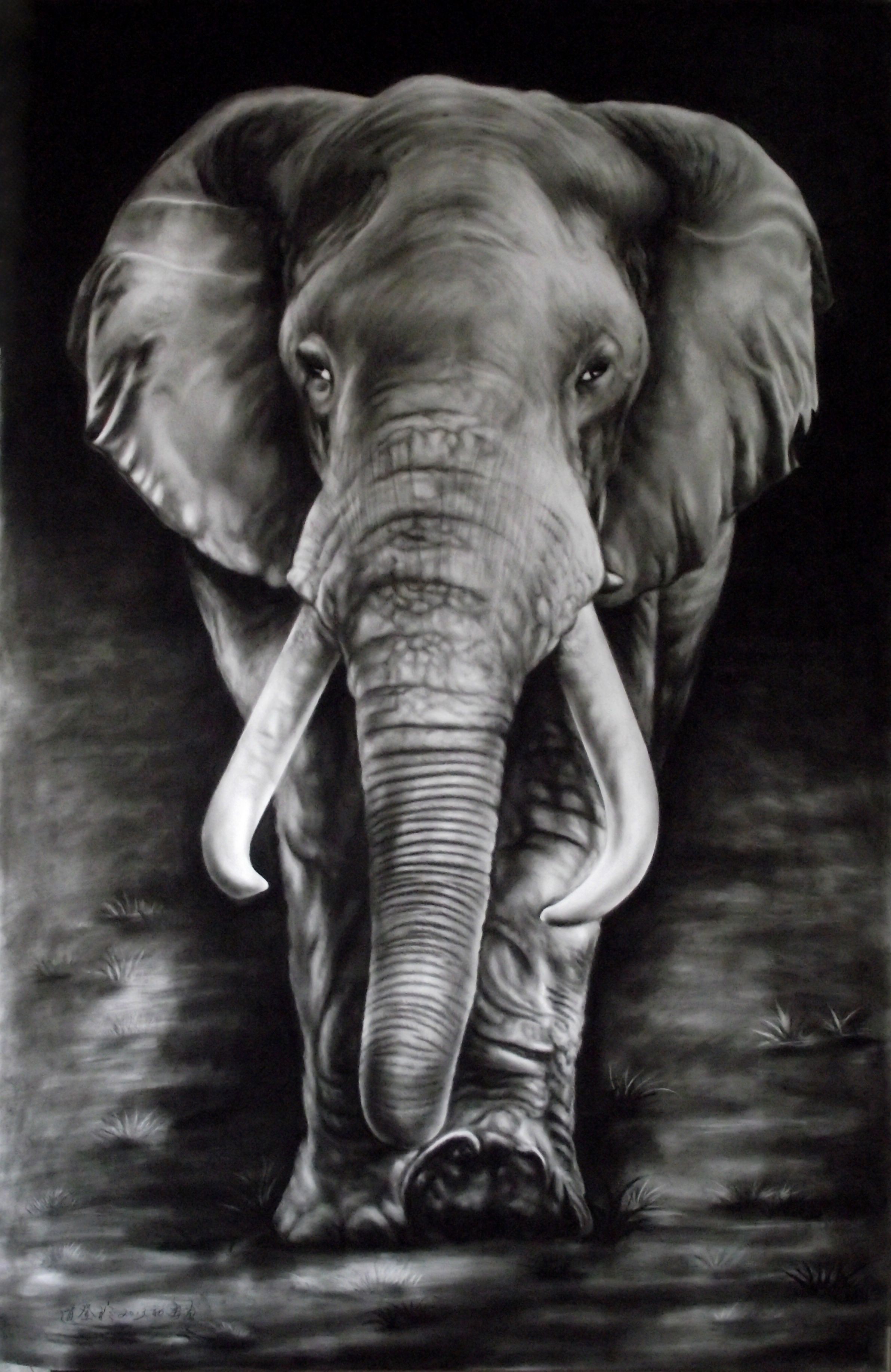  p data-id="gnwo1xya8k">炭画,是指使用木炭,炭精条,炭精粉等材料