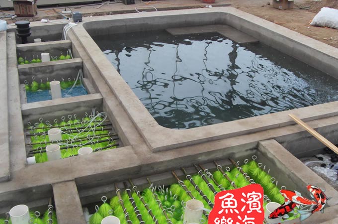 北京锦鲤鱼池设计建造有限公司