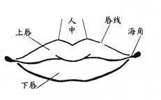 口相_百度百科