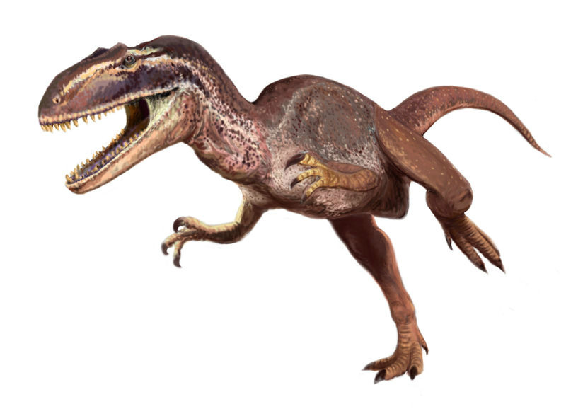  p>中棘龙( i>metriacanthosaurus /i>)是掠食类恐龙的一种.