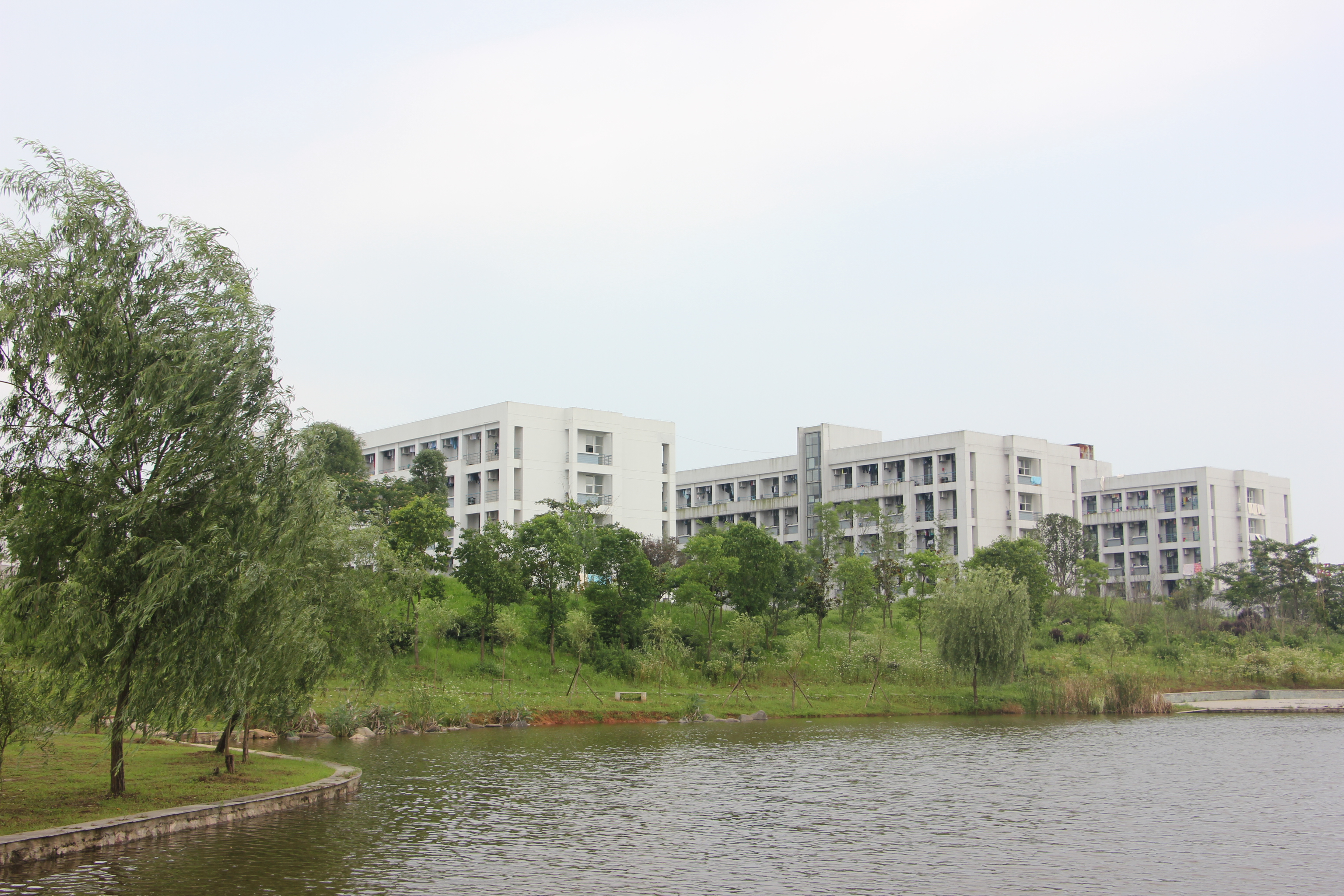  p>合肥科技职业学院(hefei science and technology college),是一所
