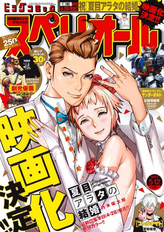 夏目新的结婚（日本电影）_百度百科