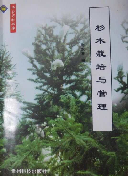 杉木栽培与管理_百度百科