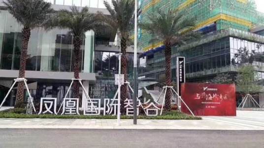 碧桂园凤凰国际智谷_百度百科