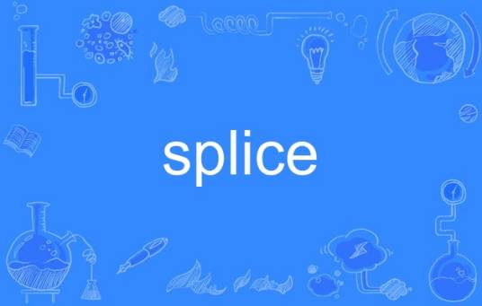 splice_百度百科