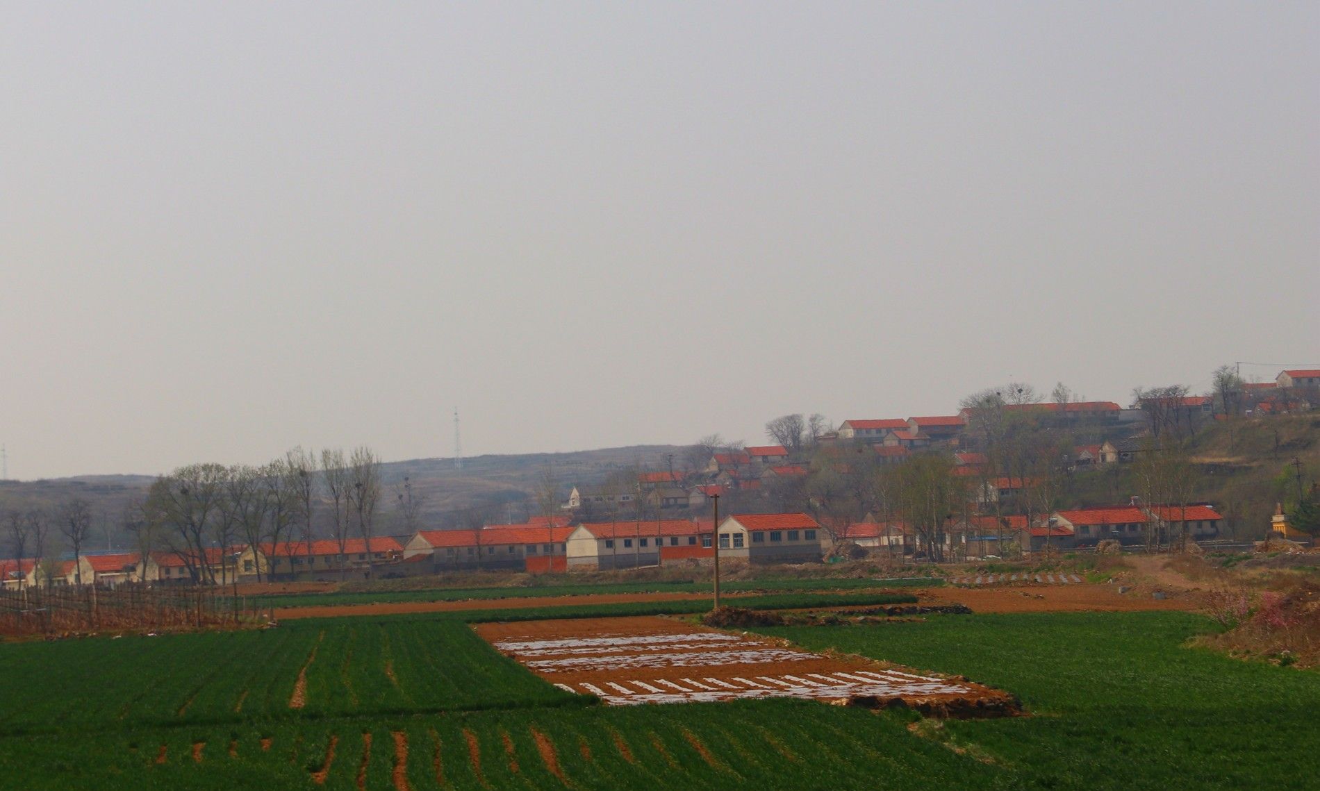  p>小纪镇,隶属于山东省烟台市海阳市,地处 a target="_blank" href="