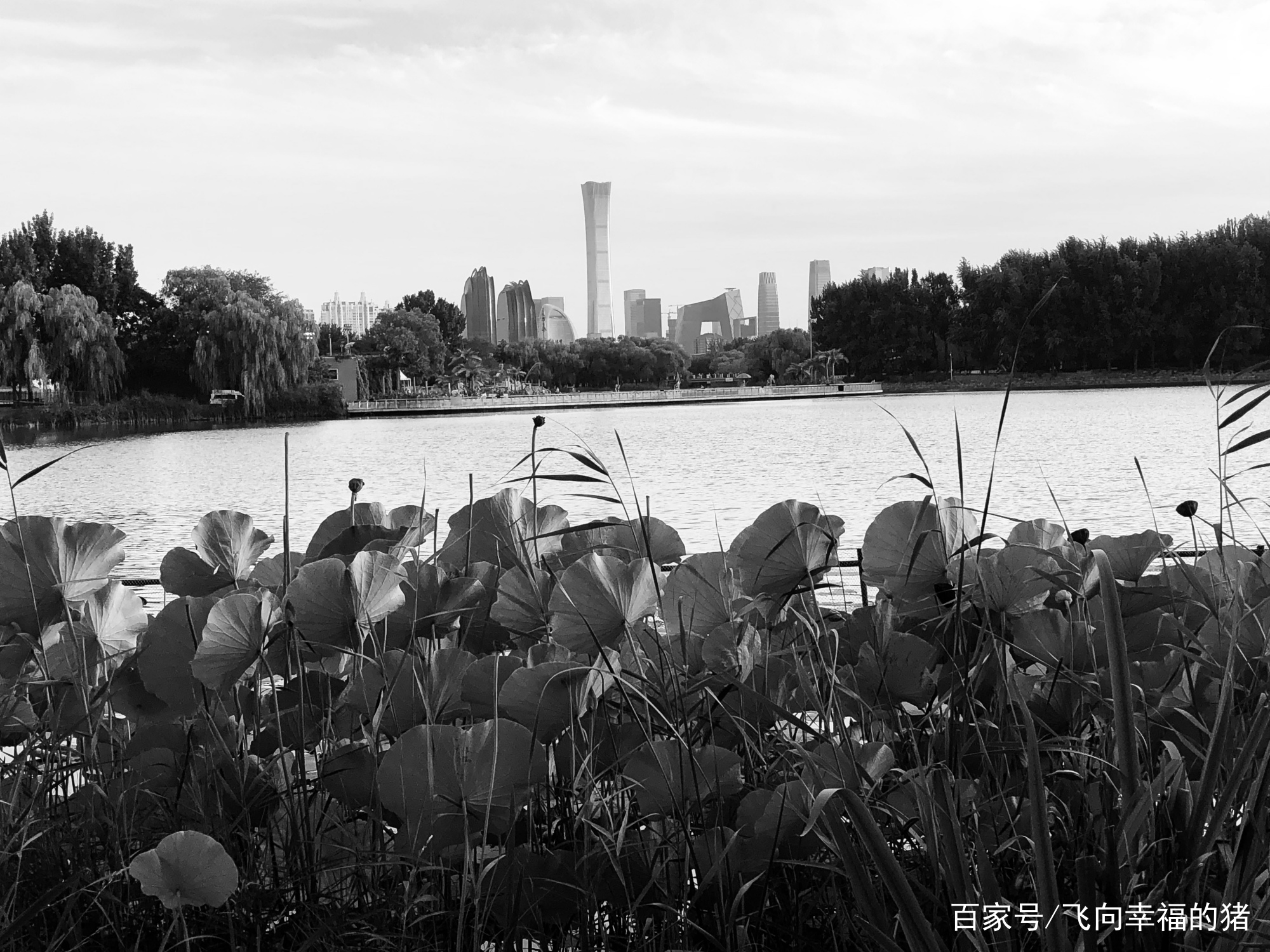 世界级超高建筑，中国尊_百科TA说