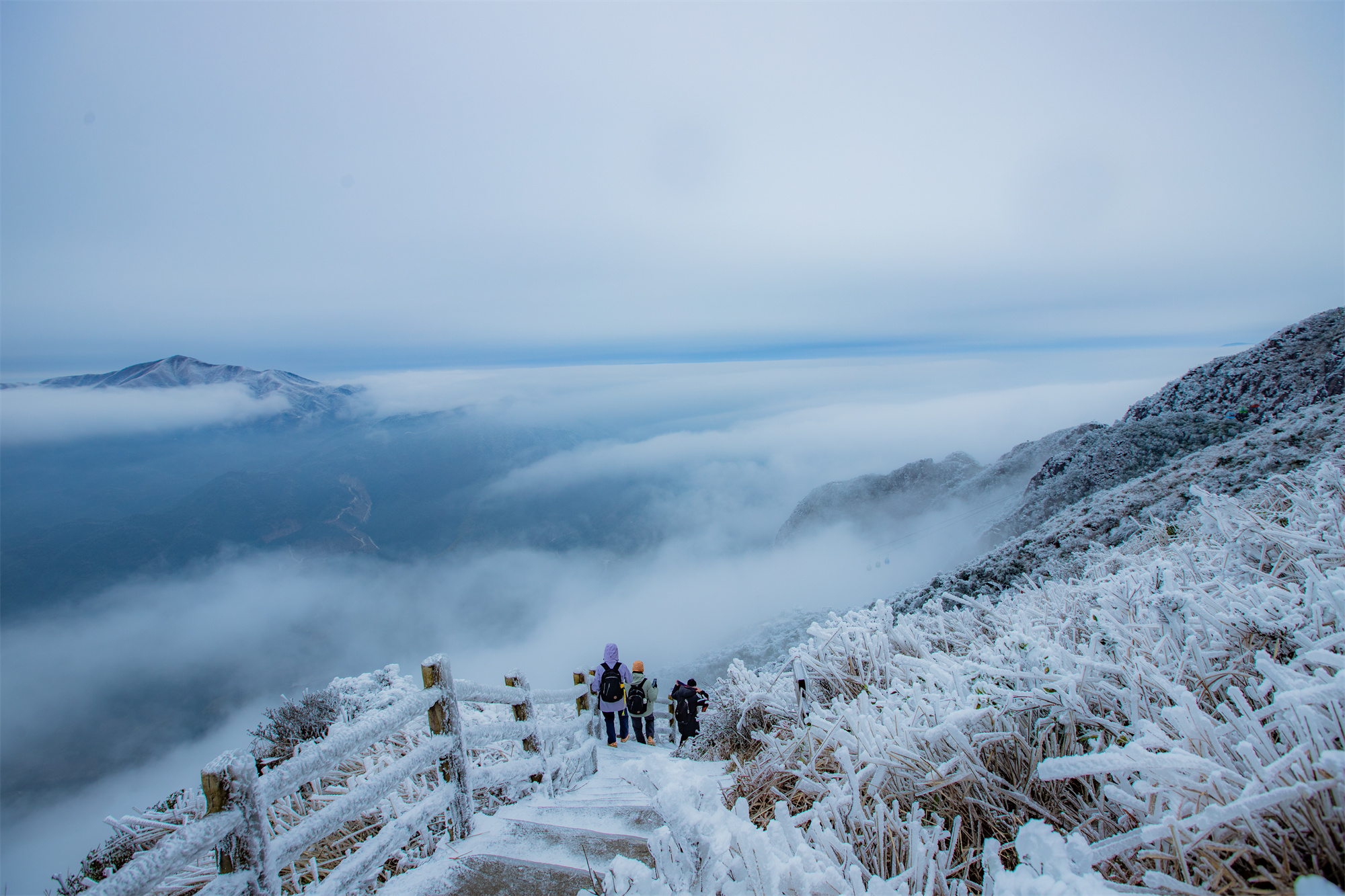 data-id="t1aolktvwrfh">清远金子山原生态旅游风景区位于清远市连山