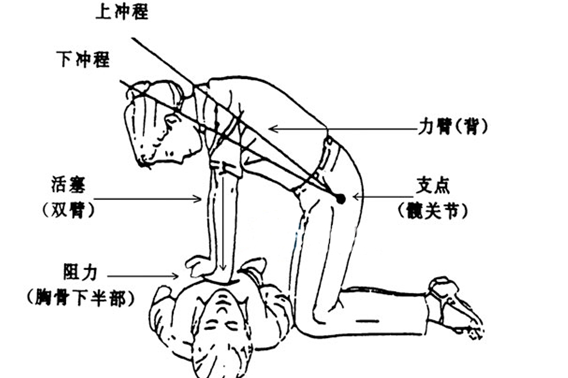 胸外心脏按压术