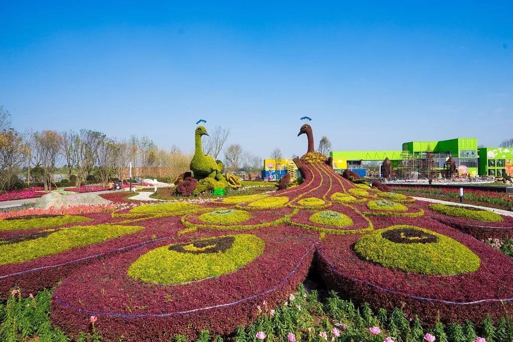 中原现代花卉科技博览园