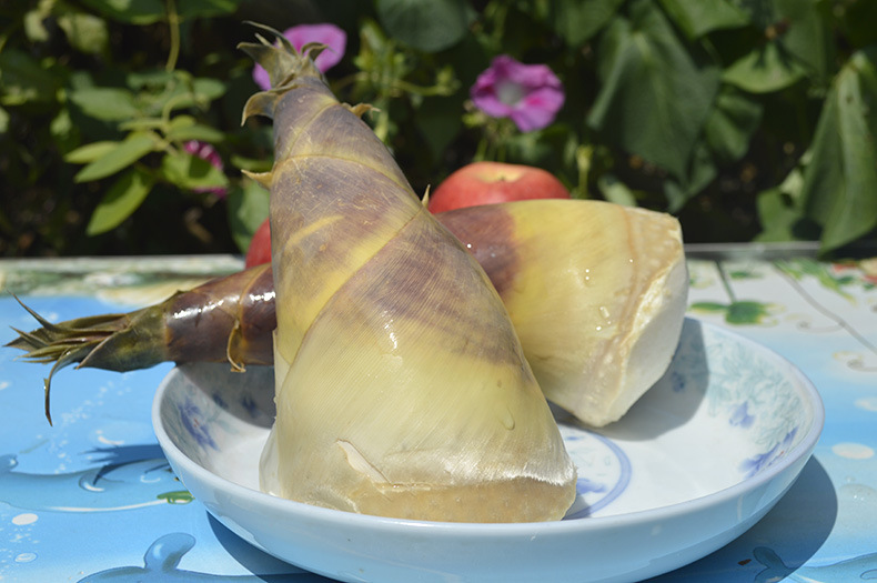  p data-id="gnzrh53g2m">马蹄笋( i>bambusa