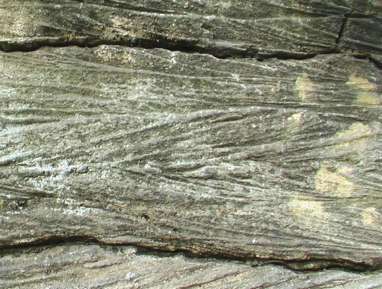 宜昌奥陶系剖面