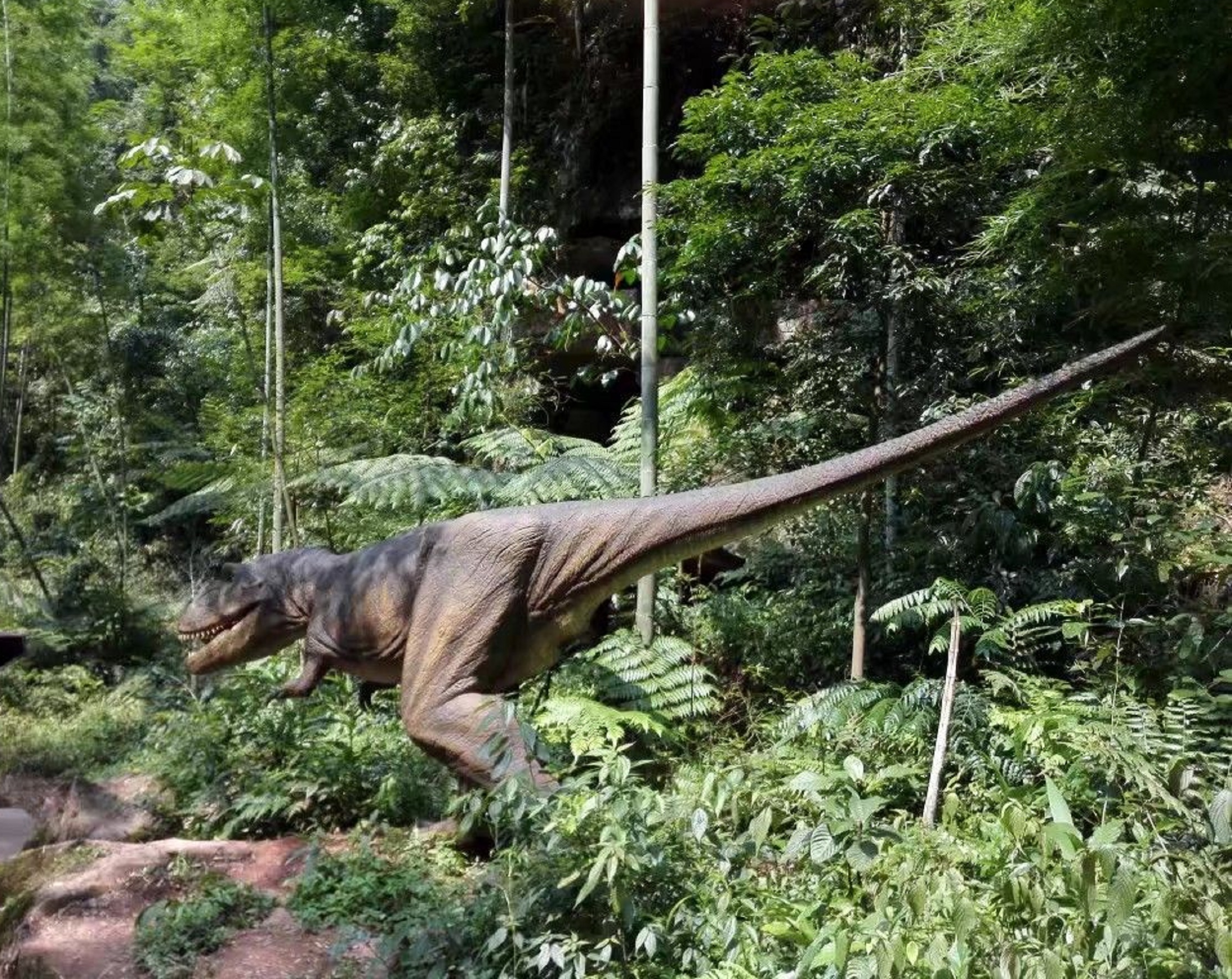  p>中国侏罗纪公园位于贵州省 a href="#">赤水 /a>市 a href="#"