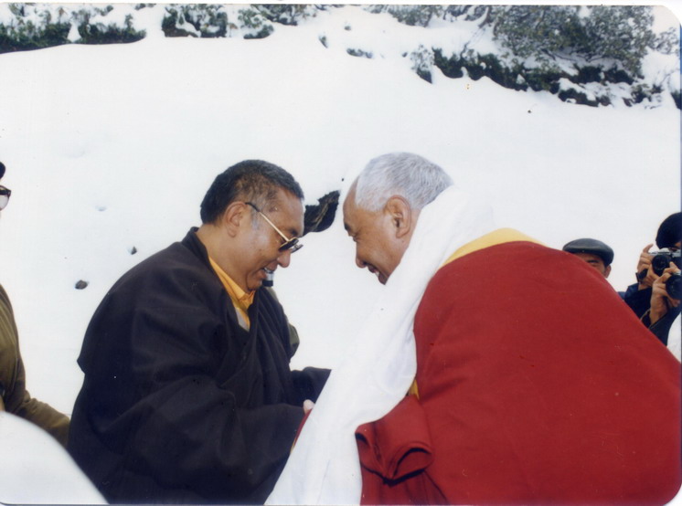 大班智达布玛莫扎(无垢友尊者)和遍知者隆钦饶降巴尊者(无垢光尊者)再