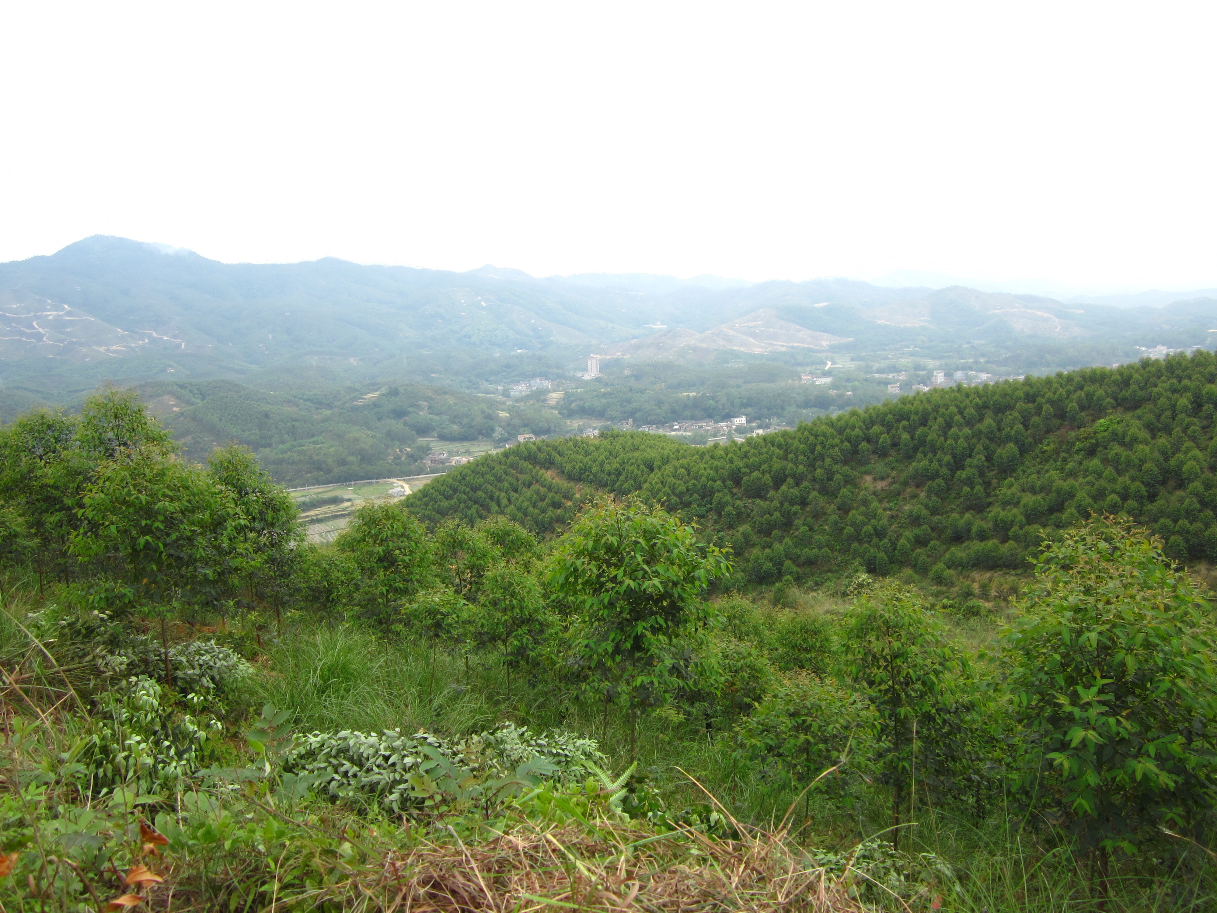  p>八将岭,地处我国广西玉林市博白县大垌镇栗桂村,金固村东北部. /p>