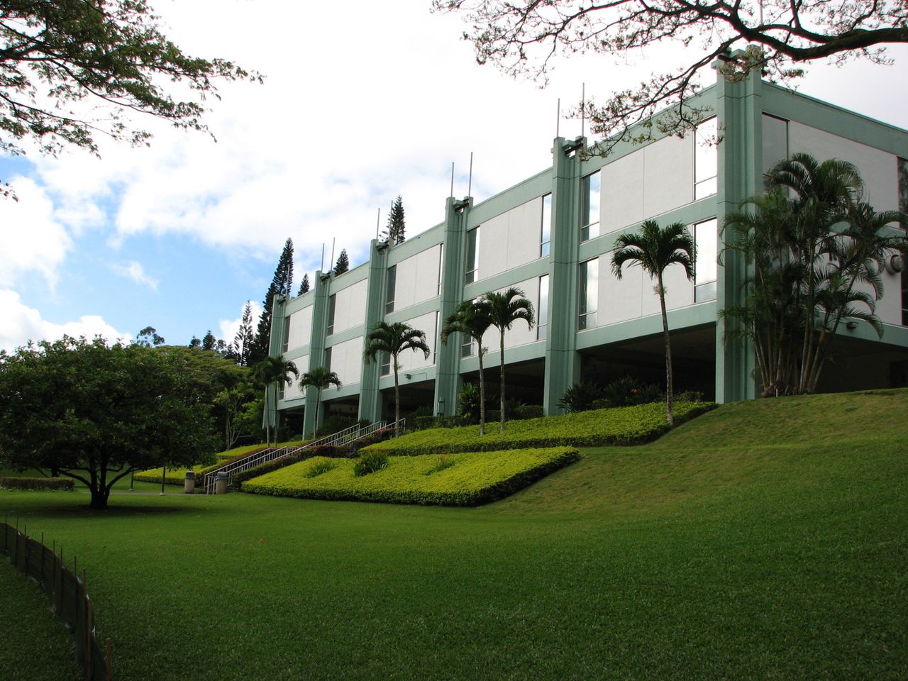 太平洋大学