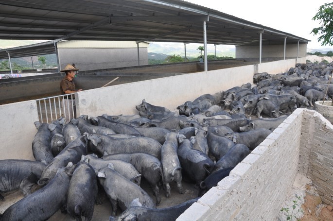 福建趴趴跑生态农业综合开发有限公司