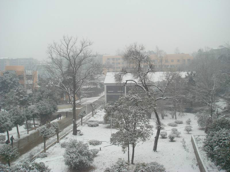  p>铜陵市第十五中学是1999年成立的一所全日制完全中学,是基础教育