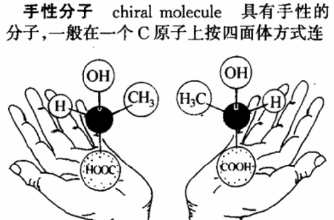  p>分子的旋光性最早由十九世纪的pasteur发现.