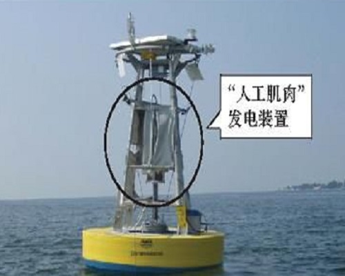 船形波浪能发电装置
