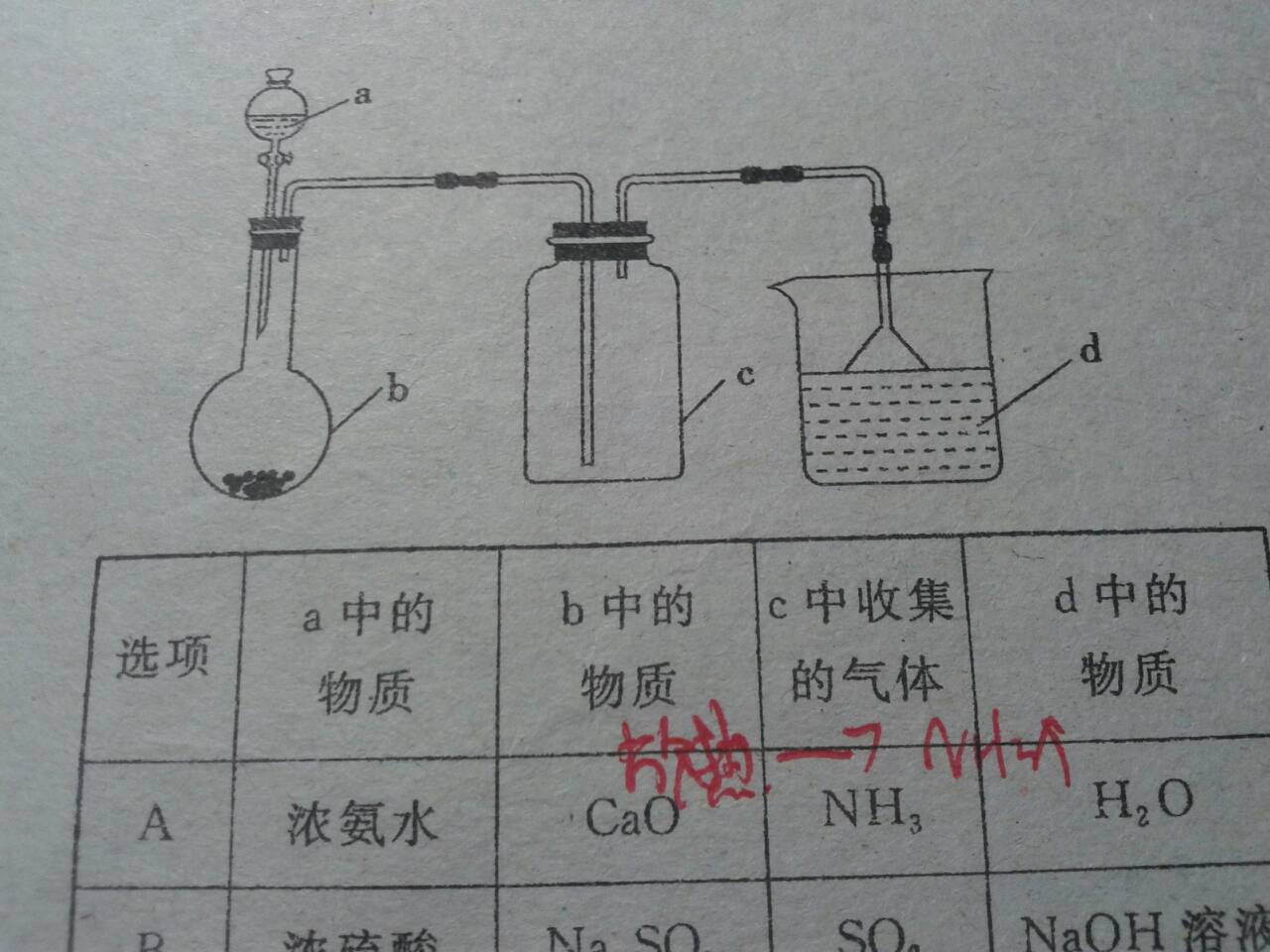 氨气尾气处理装置