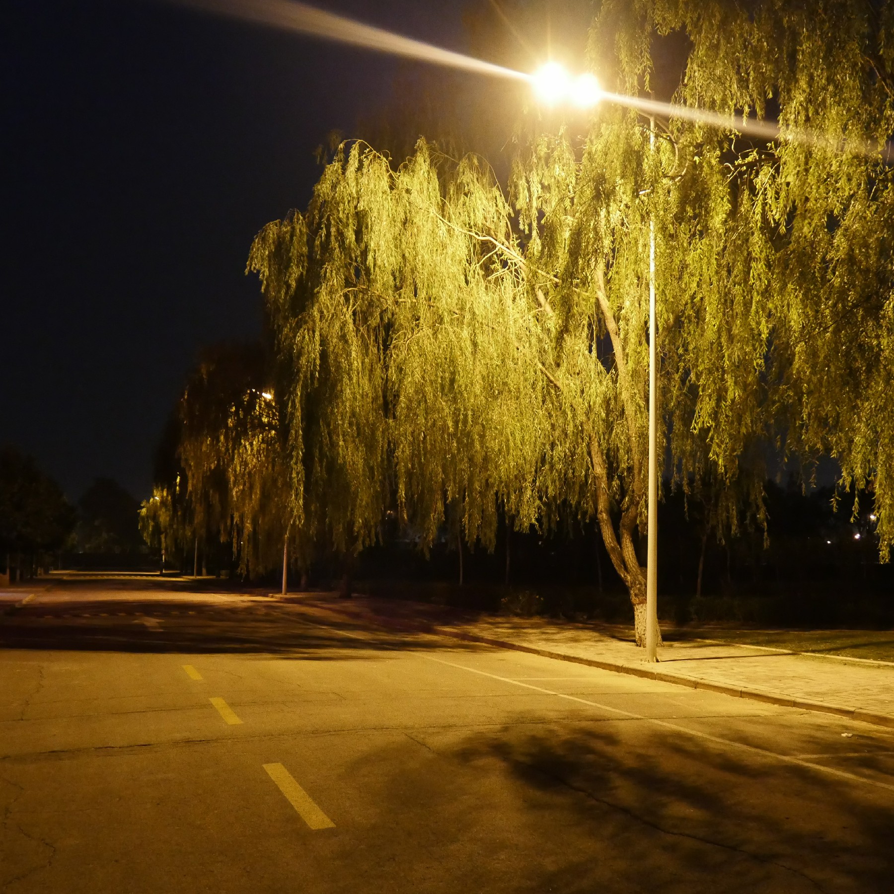 ְҵѧԺʲôѧ_ְҵѧԺ_ְҵѧУ