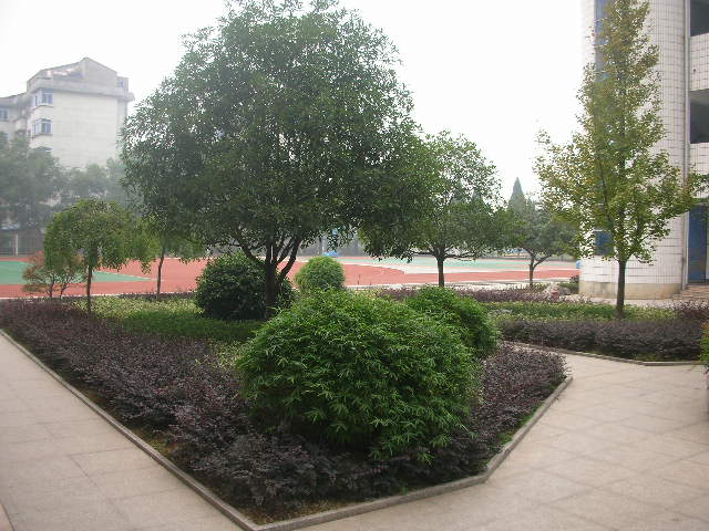 兰溪市实验中学