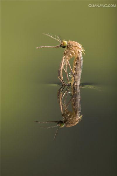 ok"><span class="ref" data