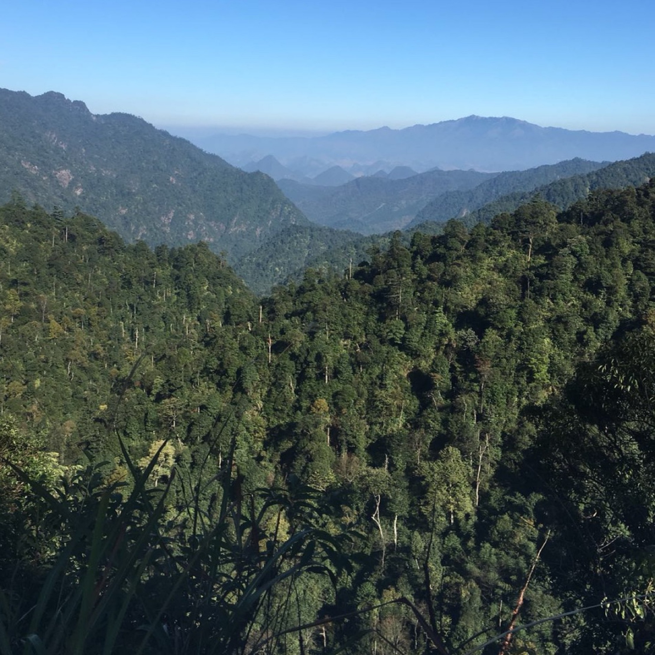  p> a target="_blank" href="/item/南岭">南岭 /a>国家森林公园是