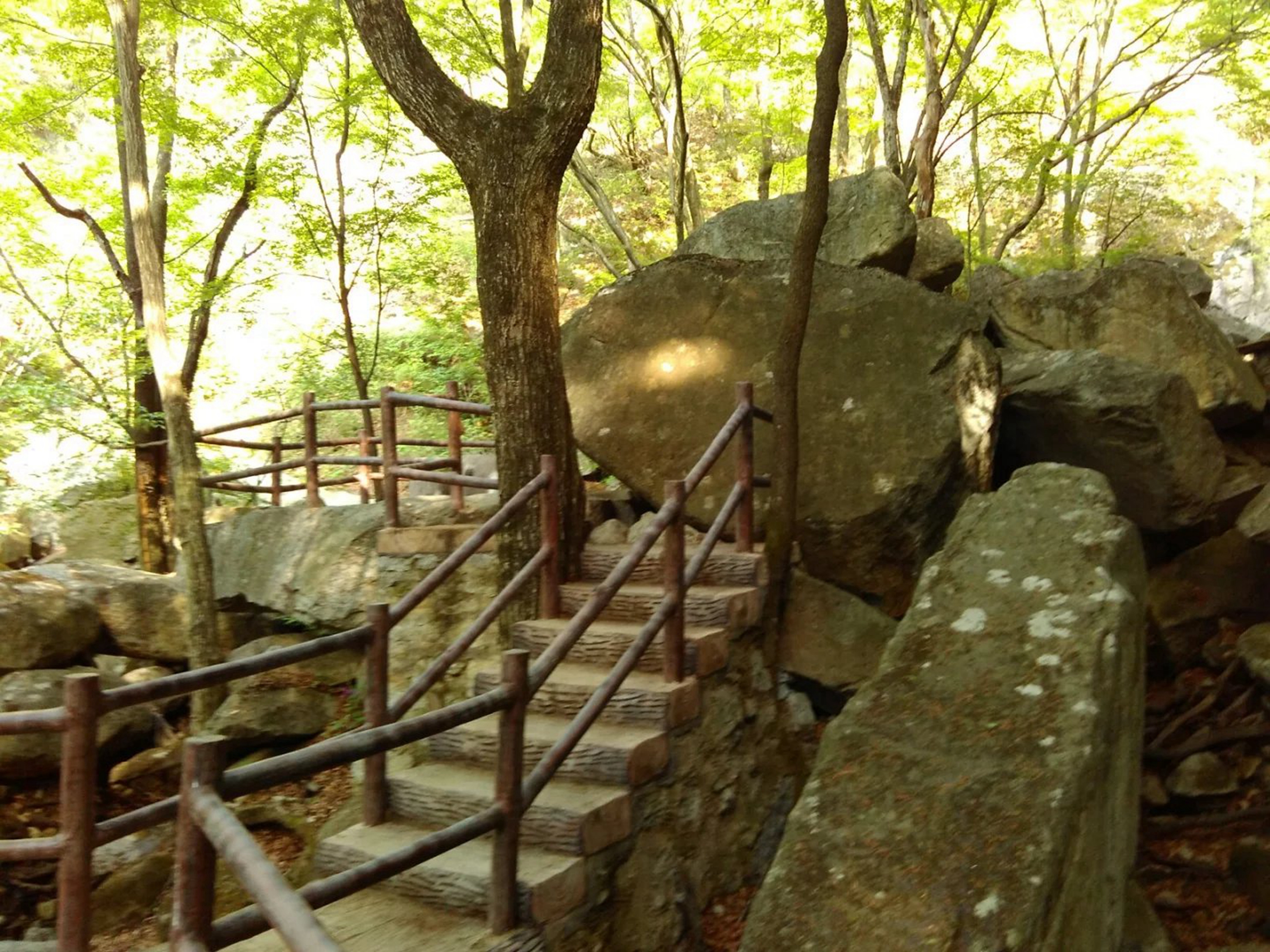 宝天曼景区(宝天曼景区和漂流多少钱)