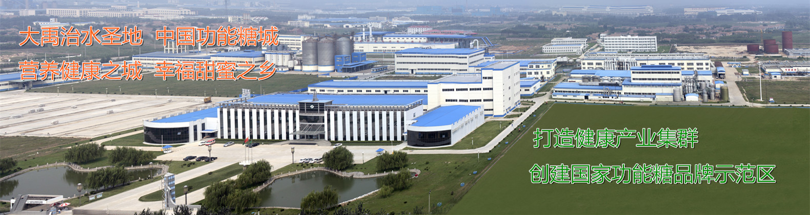 龙力生物科技有限公司