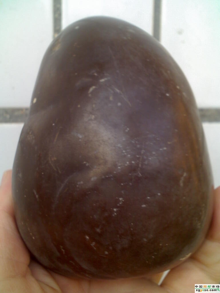 href="/item/辰砂/2298305" data-lemmaid="2298305">辰砂 /a>,是猪