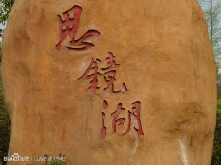 我们在江农等着你