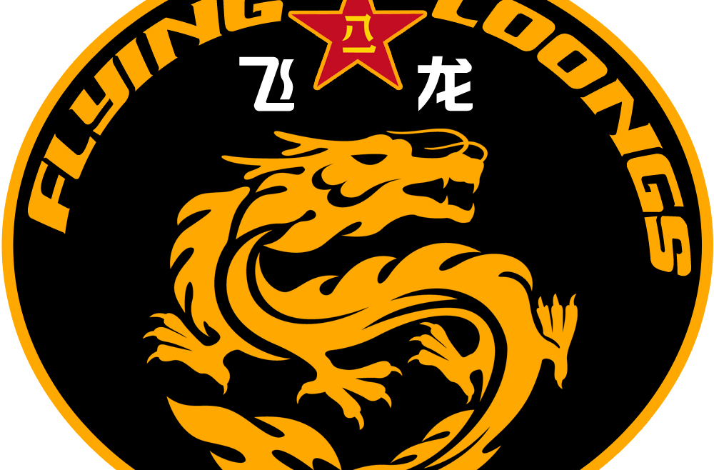  p>"飞龙"建立于1992年,部队主要进行应对非传统安全的训练,并在威胁