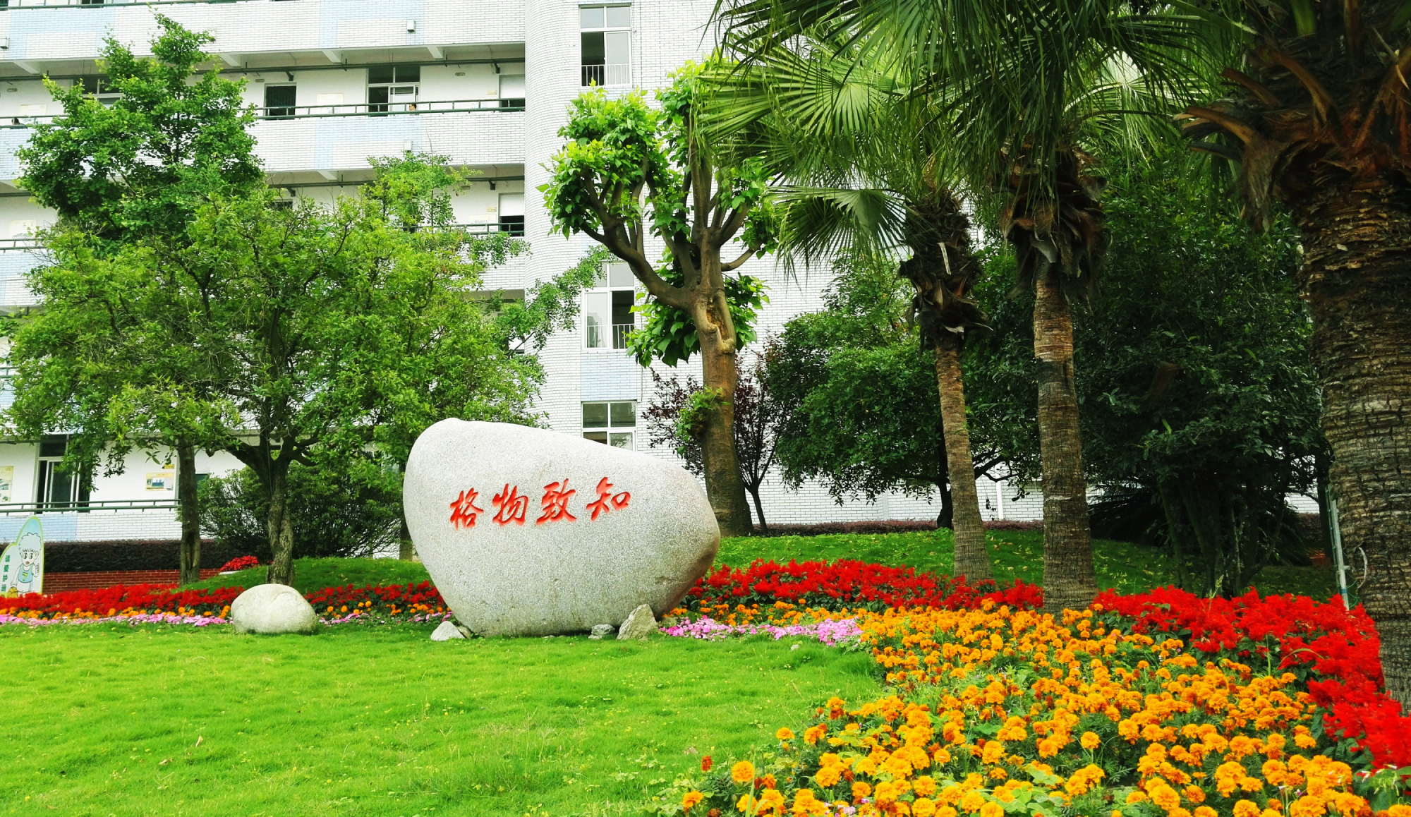 四川省成都市双流区西航港第一初级中学