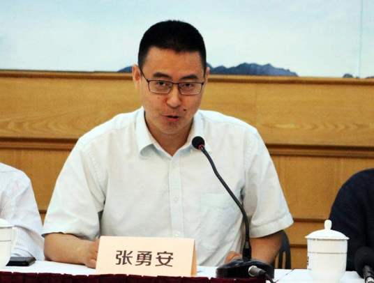 张勇安（上海大学文学院教授）_百度百科
