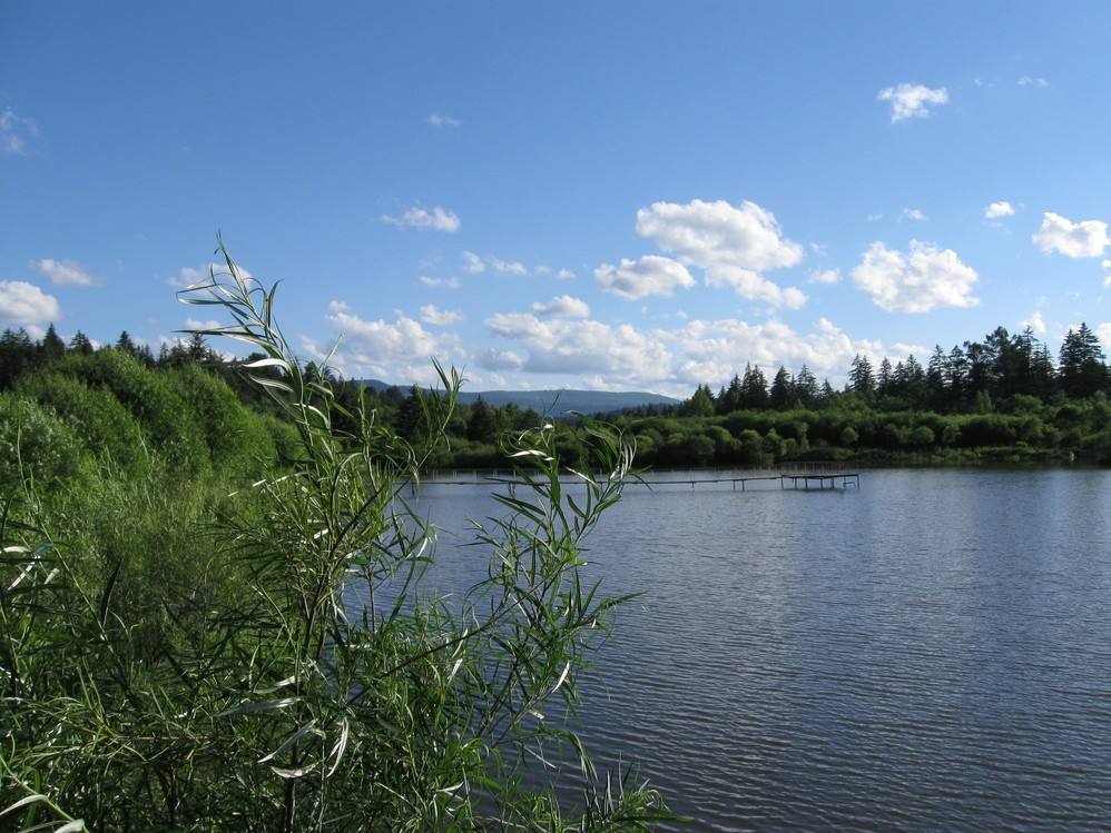 凉水自然保护区风景旅游区