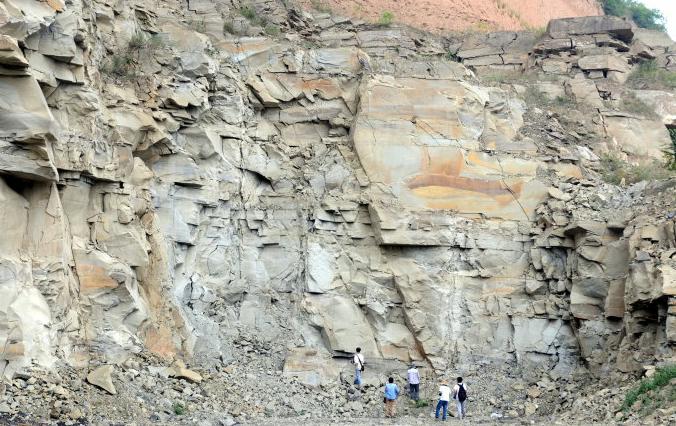  p>以灰绿,灰黄绿色,浅肉红色长石砂岩为主,夹深灰绿色页岩及煤线的