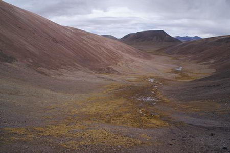 indus valley civilization