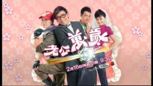 data-lemmaid="7051877">香港电视广播有限公司 /a>时装电视剧,由