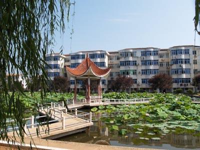  p>湖南省常德市西洞庭第一中学创建于1956年,是湖南省常德市教育局