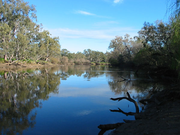  p>墨累河是 a target="_blank" href="/item/澳大利亚/146759" data