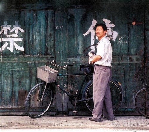 卡拉是条狗cala,mydog!(2003)