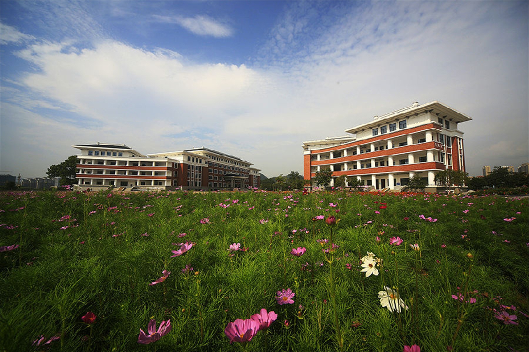 丽水职业技术学院