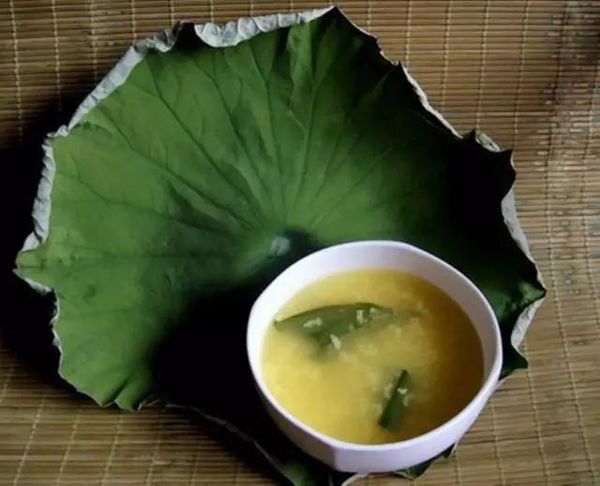 新鲜荷叶能做什么菜_新鲜荷叶怎么吃_新鲜荷叶能减肥吗