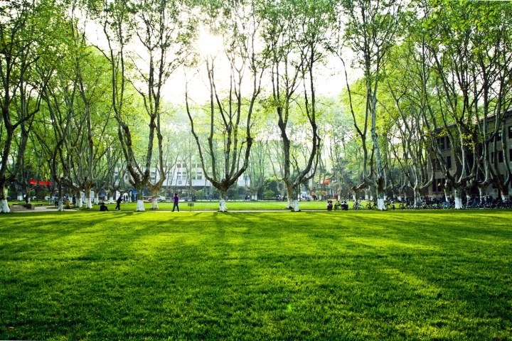 东南大学